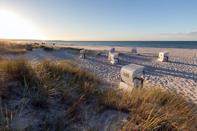 Ferienwohnung-Reettraum-Prerow